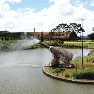Vinícola Campestre promove rodízio exclusivo de vinhos em SP