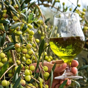 Brasileira Prosperato celebra 40 prémios com seu azeite