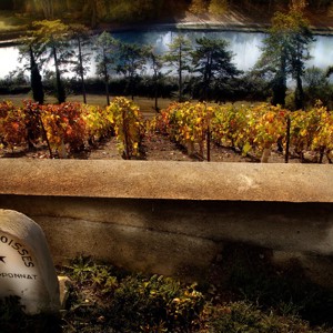 O exuberante Champagne Philipponnat completa 500 anos de história