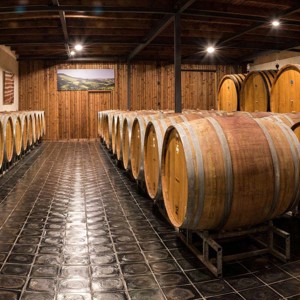 O Piemonte de Michele Chiarlo