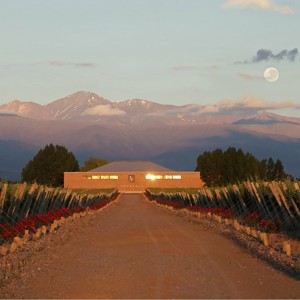 Finca Sophenia: qualidade superlativa à bom custo benefício