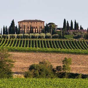 Inovini apresenta as novidades do italiano Argiano