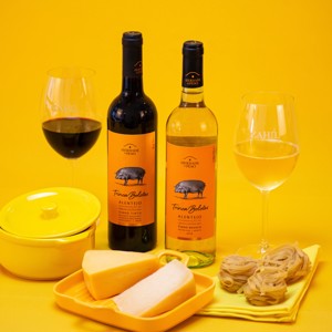 Qual é o seu tipo de carnaval?