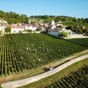  Clarets e sua adorável Borgonha