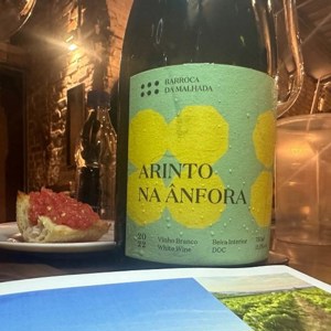 Barroca da Malhada: um jovem notável