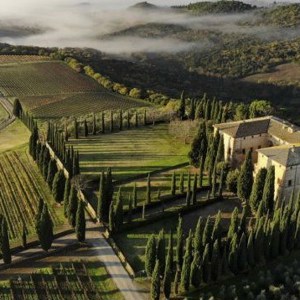 A virtuosidade da marca Argiano