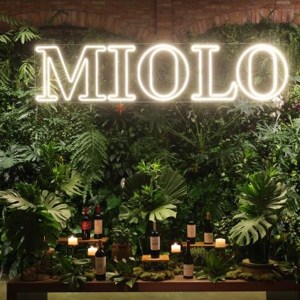 Miolo lança os 7 Lendários 2022