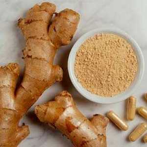 A origem do Gengibre