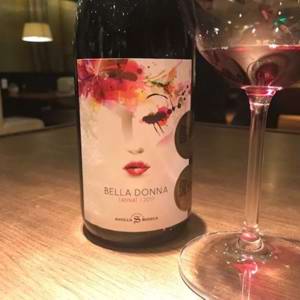 Uruguay Wine Tour: O vinho uruguaio caindo na graça do brasileiro 