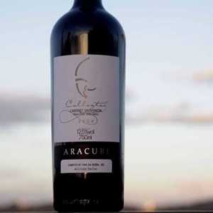 Vinícola Aracuri rompe barreiras e atua no mercado do Sul, Sudeste e Nordeste do Brasil