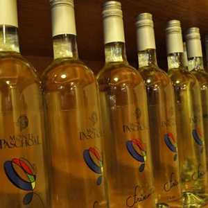 Vinícola Basso sai vitoriosa triplamente pela Wine Challenge em Londres