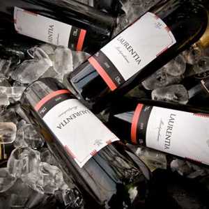 Fit Vinhos toma a frente e aposta no sucesso e qualidade dos espumantes e vinhos originalmente brasileiros