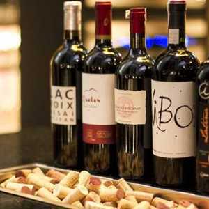 Site de venda de vinhos ganha visibilidade entre vinícolas no Sul do Brasil