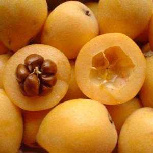 O Japão traz o Plum Dew para o Brasil e aguça o paladar paulistano