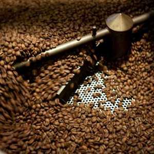 Os Cafés de Isabela Raposeiras