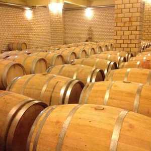 Vinhos do Brasil marcam presença na avenida do samba e prometem contagiar o Anhembi