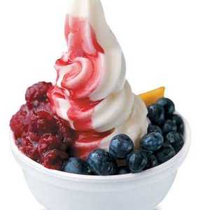 Frozen Yogurt