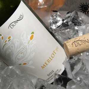 Lançamento do primeiro Merlot branco brasileiro traz curiosidade e propõem convite a dançar em SP