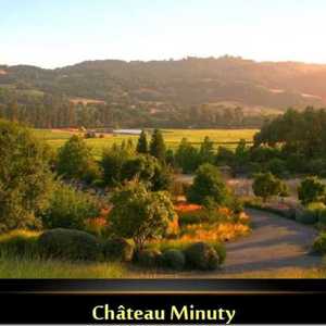 Premium Drinks traz a supremacia dos Rosés de St. Tropez para o Brasil