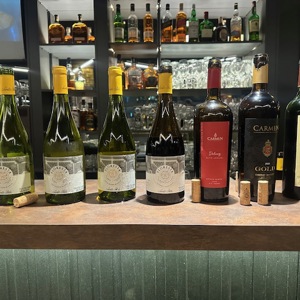 Vinhos do Chile brilham em São Paulo