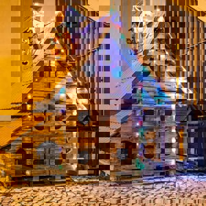 O NATAL DA BICHARADA